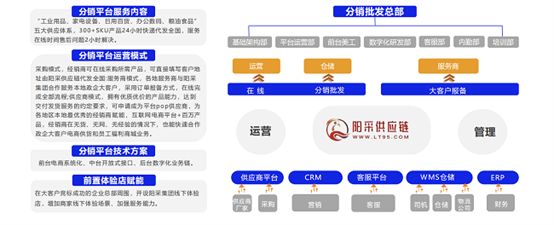 《2024数字化采购发展报告》点赞阳采集团“三轮叠加优选”实现国央企采购优供优服优配(图17)